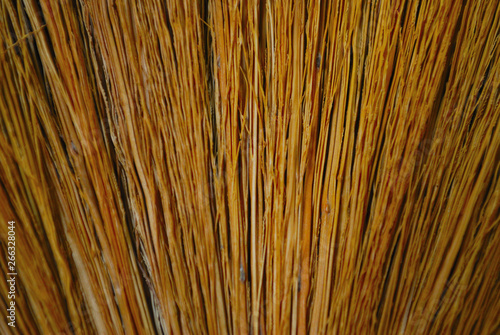 The pattern of broom hairs