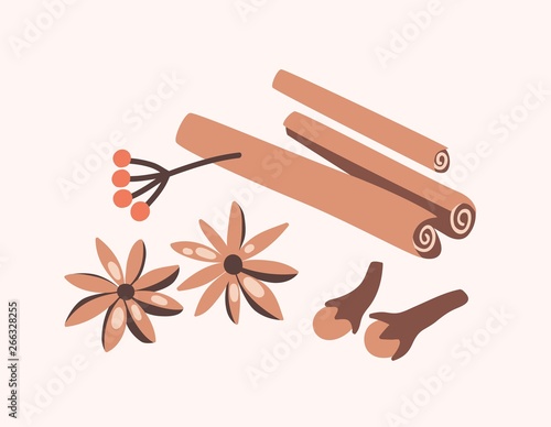 Cinnamon sticks, cloves and star anise isolated on light background