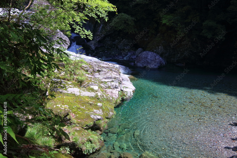 安居渓谷で遊ぶ（高知県）