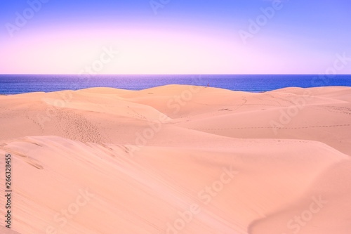 Fototapeta Naklejka Na Ścianę i Meble -  Aerial View of Sand Dunes in Gran Canaria with beautiful coast and beach, Canarian Islands, Spain