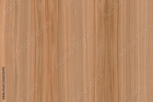 brown beech tree wood wallpaper structure surface texture background