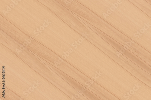 brown beech tree wood wallpaper structure surface texture background