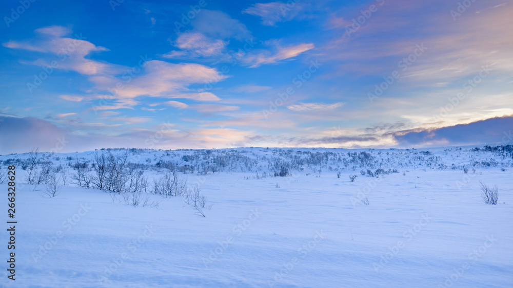Snow covered landscape of pristine nature North of the Arctic Circle under a beautiful sky Snow covered landscape of pristine nature North of the Arctic Circle under a beautiful sky