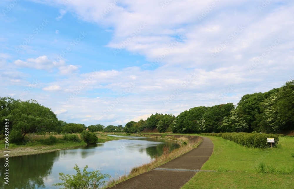 風景 春 新緑 道 思川 爽やか 杤木 風景 春 新緑 道 思川 爽やか 杤木