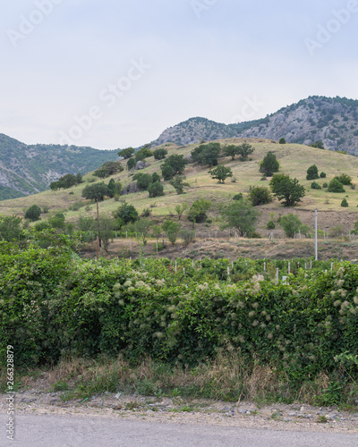 Mountains and vineyards on a summer sunny day