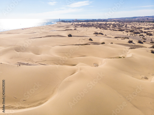 Aerial View of Sand Dunes in Gran Canaria with beautiful coast and beach  Canarian Islands  Spain