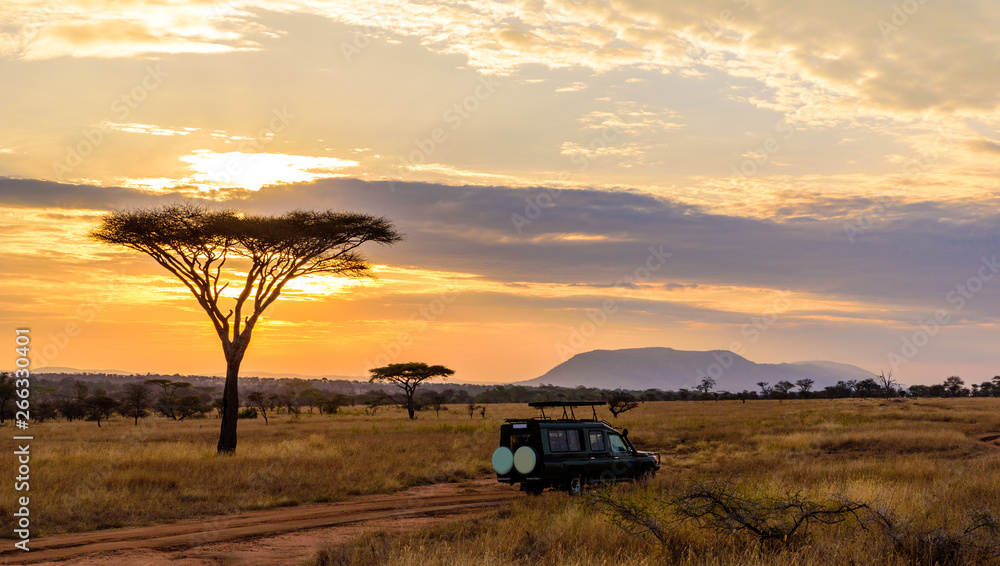 Sunset in savannah of Africa with acacia trees, Safari in Serengeti of Tanzania - obrazy, fototapety, plakaty 