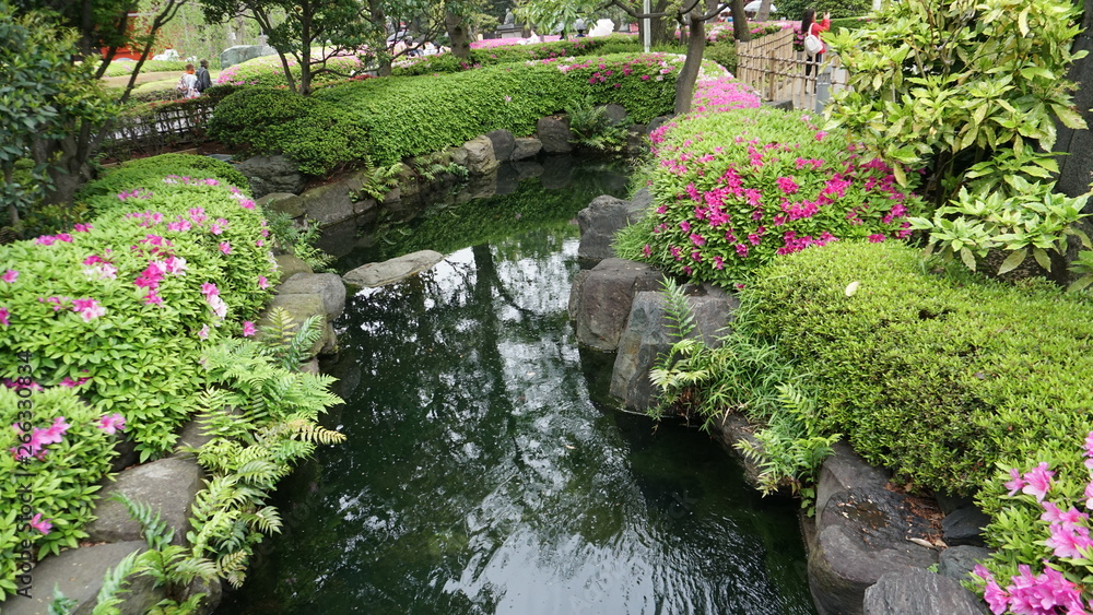 浅草寺の池