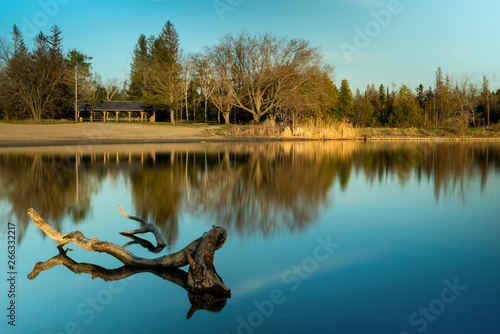 Photos Tree line view during golden hour on a lake in Alliston Ontario Canada - Earl Ro