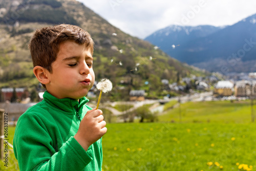 Little boy blowing a dantelion in a green field