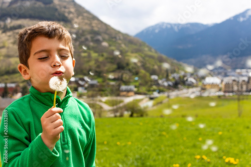 Little boy blowing a dantelion in a green field photo