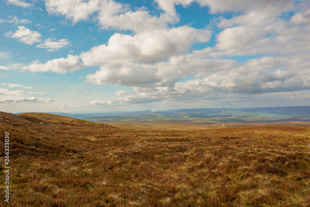 Ireland, County Fermanagh, Cuilcagh Mountain Park, Legnabrocky Trail Ireland, County Fermanagh, Cuilcagh Mountain Park, Legnabrocky Trail