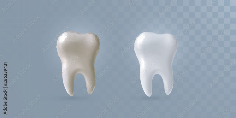 Realistic 3d teeth isolated on transparent background. Vector dentistry ...