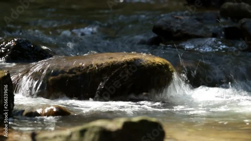 Wallpaper Mural Bach Torontodigital.ca