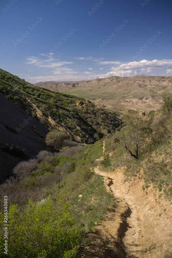 foot path through caucasus hills