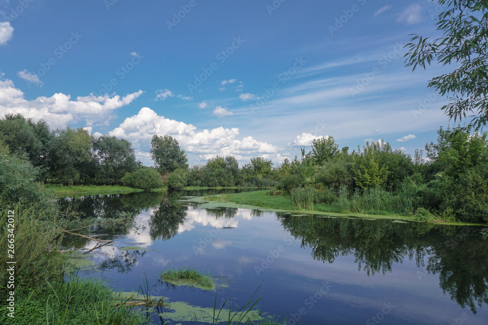 Obraz premium Beautiful summer landscape with pretty river and colorful trees. View of the sky with beautiful clouds. Stock photo