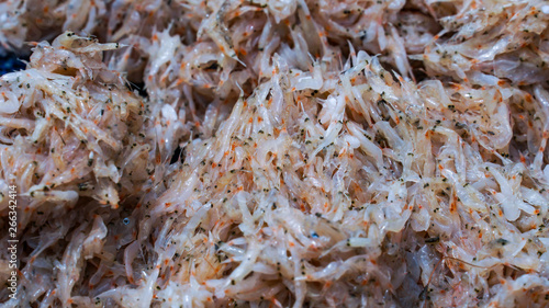 Tableau sur toile Fresh krill from the sea