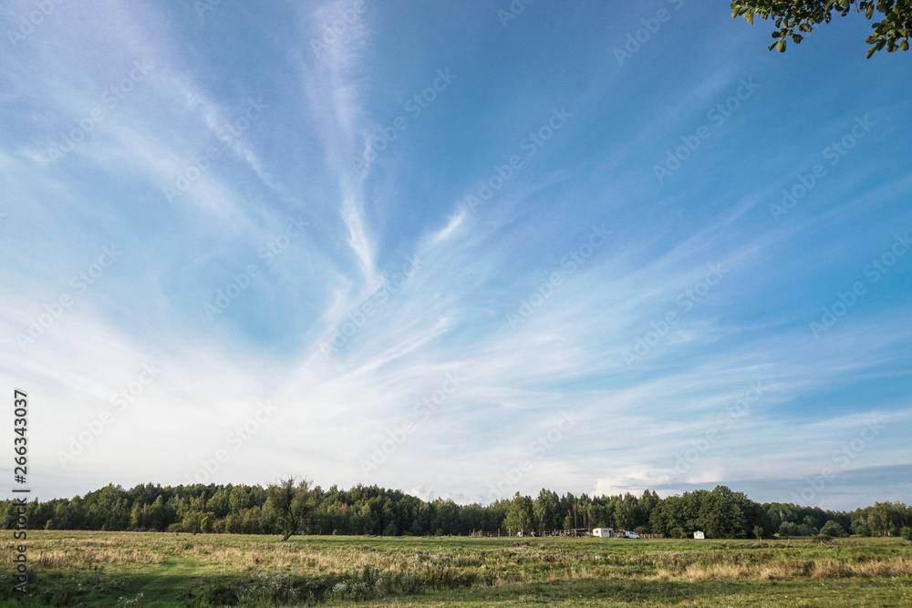Beautiful sunny sky with white clouds. Natural background. Stock photo Beautiful sunny sky with white clouds. Natural background. Stock photo