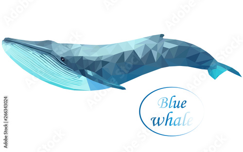 Blue whale in polygon style