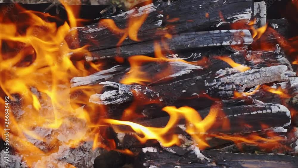 bonfire in the hearth.fire wood, which burns with a bright flame.abstract screen saver for your design. bonfire in the hearth.fire wood, which burns with a bright flame.abstract screen saver for your design.