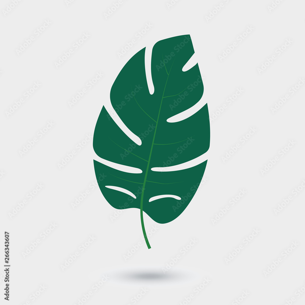 Vector leaf of palm tree isolated on white background. Green tropical tree leaf, element for design of brochure, poster, web, ad Vector leaf of palm tree isolated on white background. Green tropical tree leaf, element for design of brochure, poster, web, ad