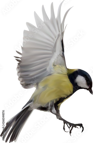 Fotografie, Obraz illustration with yellow great tit in flight