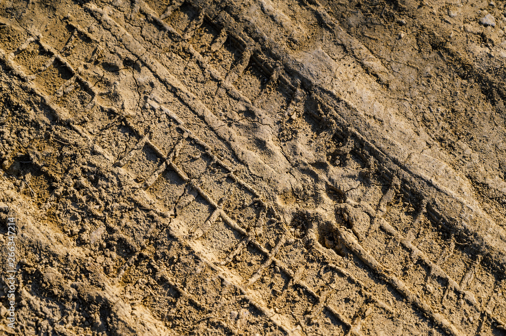 Animal footprint on the mud. Selective focus. Animal footprint on the mud. Selective focus.