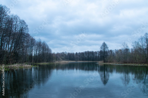 beautiful forest landscape with clear lake © Полина Бурнашевская