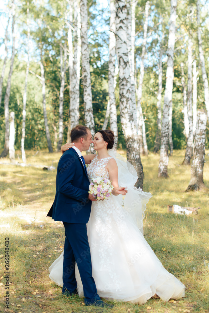 beautiful bride in a white dress in a birch grove in summer