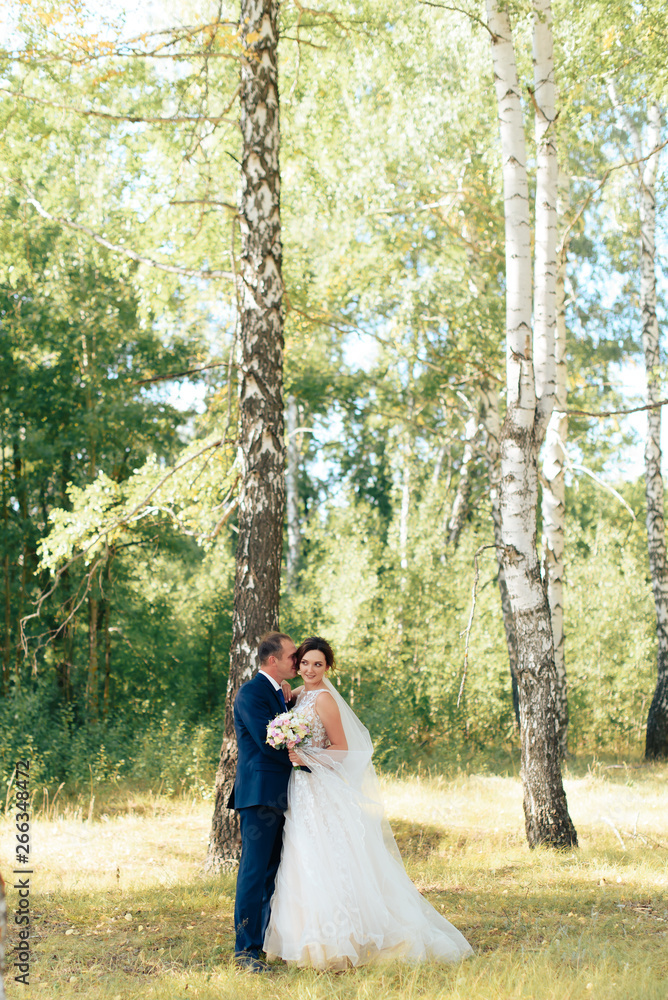 beautiful bride in a white dress in a birch grove in summer beautiful bride in a white dress in a birch grove in summer
