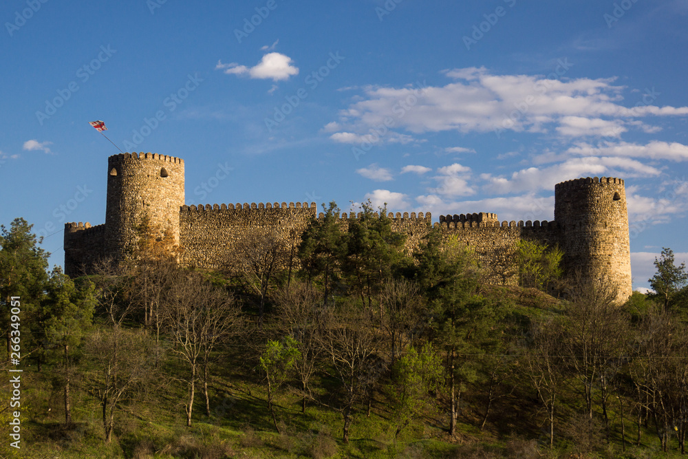 medieval castle in georgia