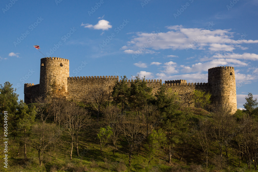 medieval castle in georgia medieval castle in georgia