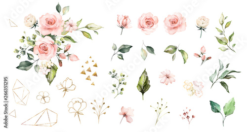 Set watercolor elements of roses collection garden pink flowers, leaves, branches, Botanic illustration isolated on white background.