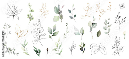 Set watercolor herbal elements. collection garden leaves, branches, Botanic  illustration isolated on white background.
