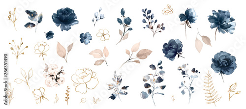 Set watercolor design elements of roses collection garden navy blue flowers, leaves, gold branches, Botanic  illustration isolated on white background.