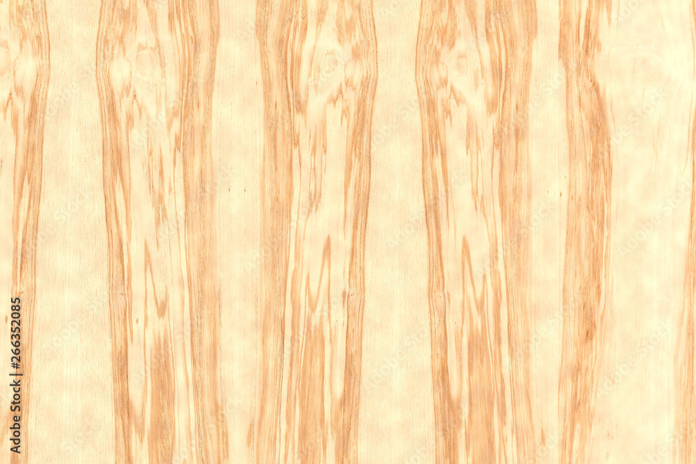 Light Brown Ash Tree Timber Tree Wood Structure Texture Background