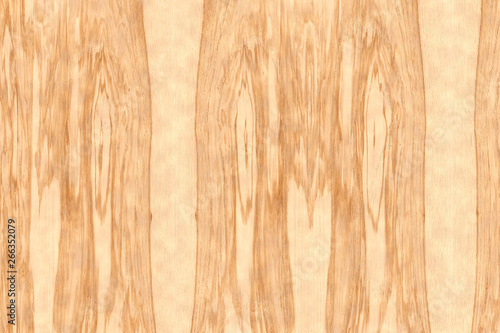 light brown ash-tree timber tree wood structure texture background backdrop