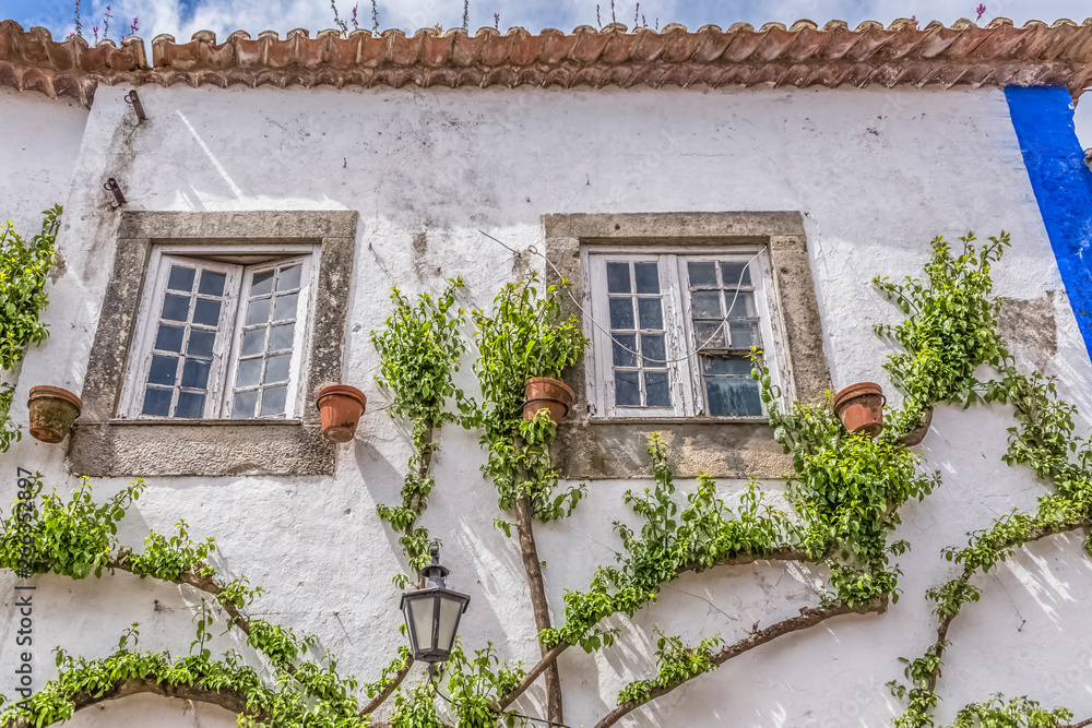 Detailed view of a Portuguese vernacular facade with climb plant around windows, on medieval village of Óbidos, in Portugal