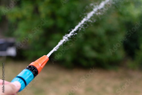 Watering plants in the garden during a summer drought.