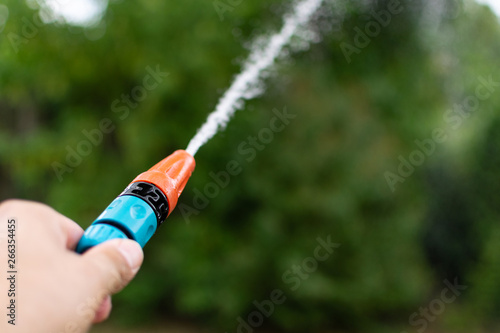 Watering plants in the garden during a summer drought.