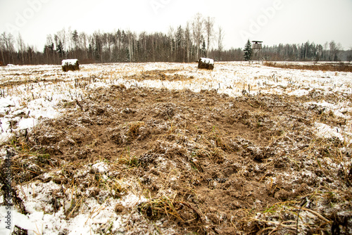 frozen ground texture in winter countryside