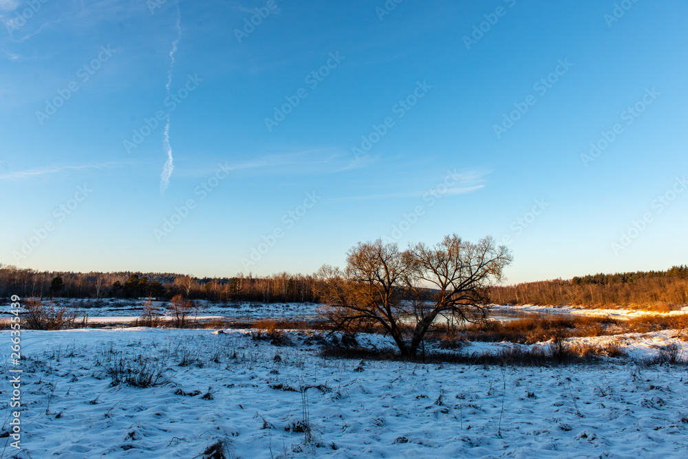 frozen ground texture in winter countryside frozen ground texture in winter countryside