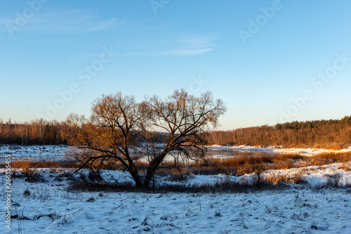 Wallpaper Mural frozen ground texture in winter countryside Torontodigital.ca
