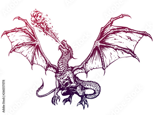 Dragon fire breathing spreading wings, illustration