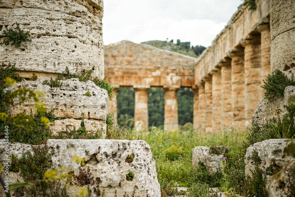 Tempel Ruine Säulen Segesta