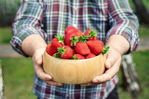 Close-up farmer's hand holding and offering red tasty ripe organic juicy strawberries in wooden bowl outdoors at farm