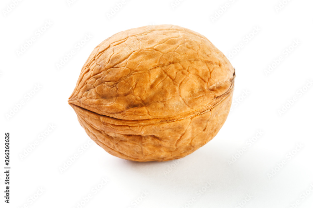 Walnut on white isolated background, clipping path, full depth of field. close up Walnut on white isolated background, clipping path, full depth of field. close up