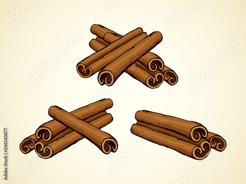 Cinnamon. Vector drawing