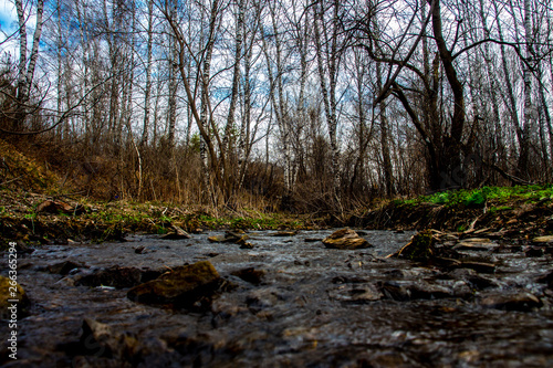 Taiga river