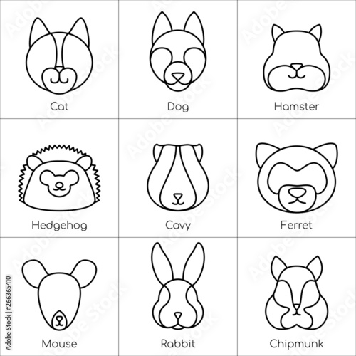 A set of 9 linear vector illustrations of pet faces: cat, dog, hamster, hedgehog, guinea pig, ferret, mouse, rabbit, chipmunk. Suitable for web, books, logo.